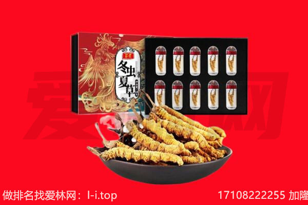剑河县回收虫草.jpg